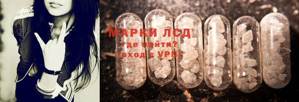 спайс Богданович
