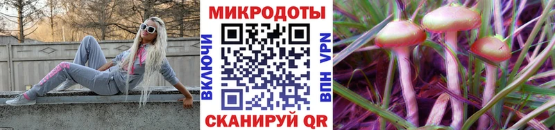 где найти Качканар Галлюциногенные грибы Psilocybine cubensis